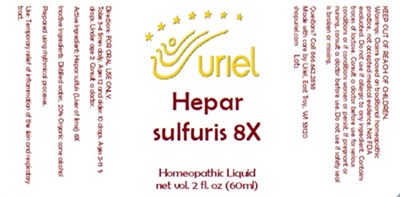 Hepar Sulfuris 8x Liquid (Hepar Sulfuris 8x Liquid)